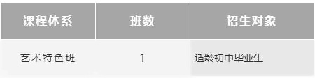 上海诺科学校艺术特色课程招生要求.jpg