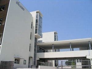 撒肋工业高等专门学校