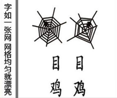 让自然告诉你什么是美