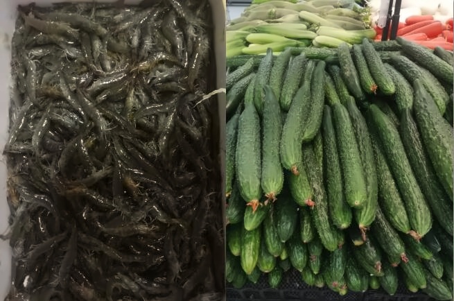 新鲜食材