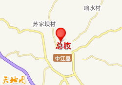 总校