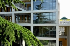 北京外国语大学国际高中