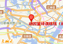 动因篮球训练馆（地调大楼店）