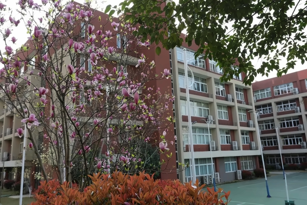 句容碧桂园学校校园春景.jpg