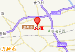 总校