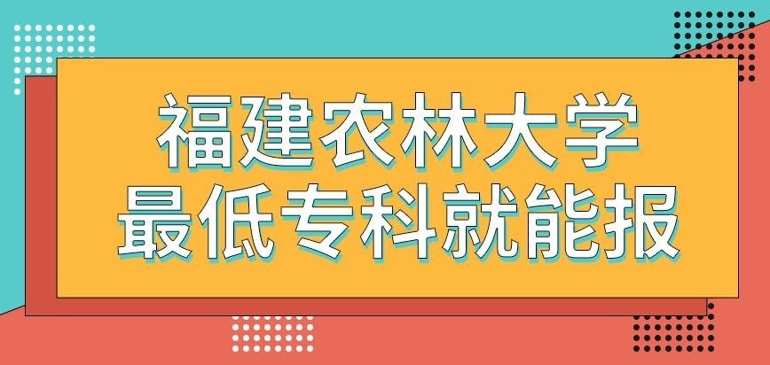 福建农林大学在职研究生报考一定要本科学历才行吗
