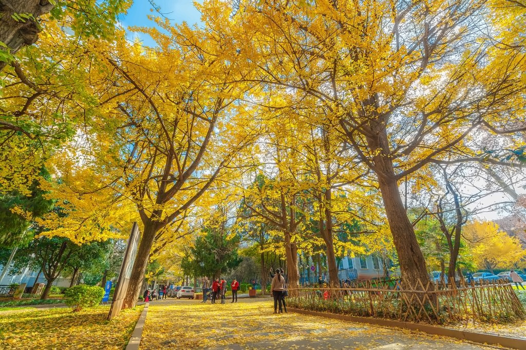 云南大学