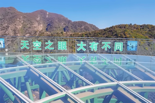 北外同文外国语学校活动
