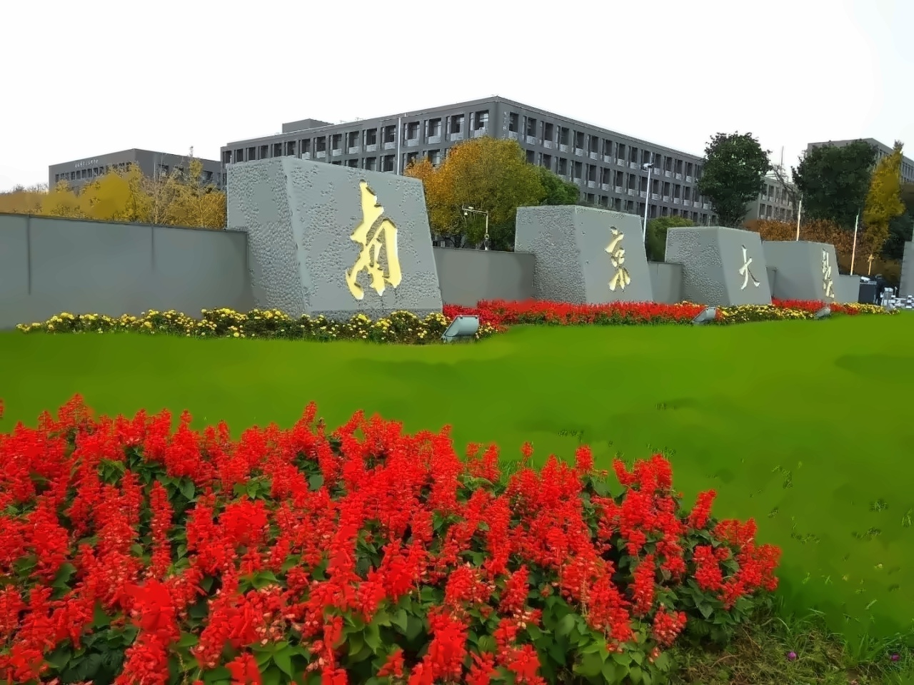 南京大学校园风光