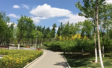 清华志清中学国际部小语种双轨实验班（日/德）