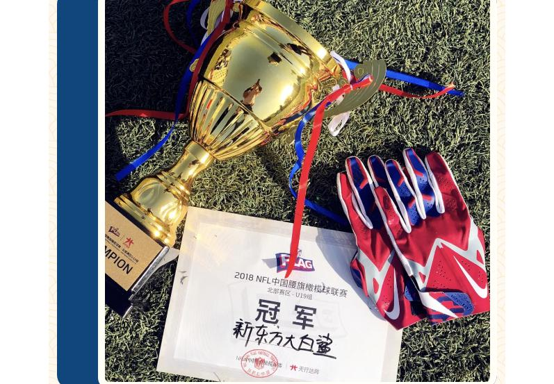 北京新东方国际双语学校