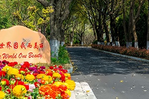 上海籽奥高中校训石