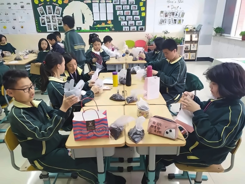 火龙果种植.jpg