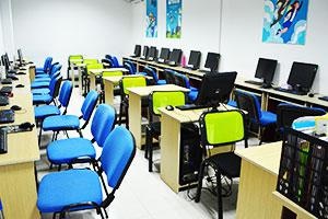 公司实例