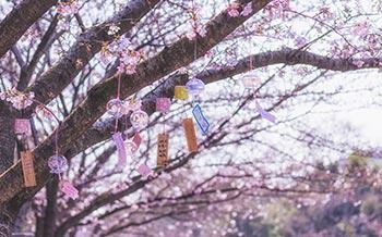 多种签到体验