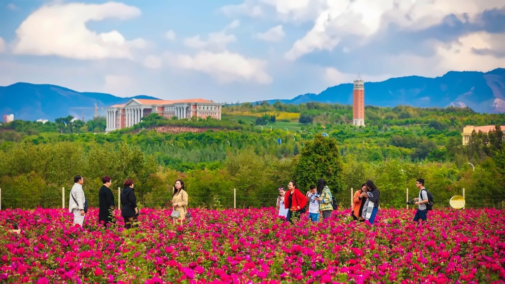 云南大学