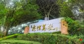 专业师资
