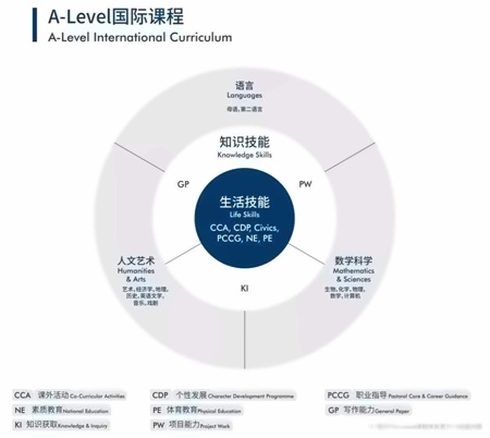al课程.jpg