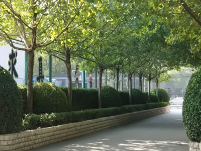 北京师范大学第二附属中学国际部校园环境