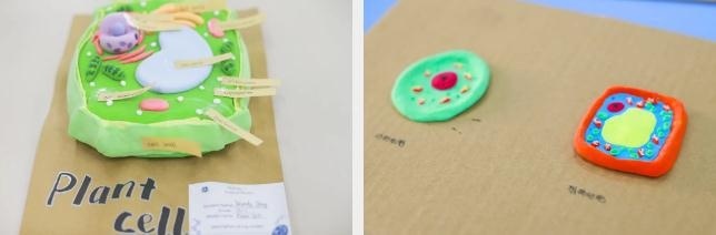 北京新东方国际双语学校