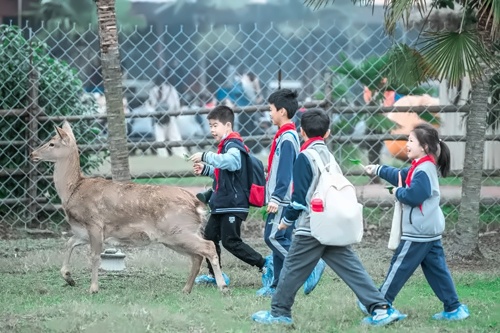 研学活动