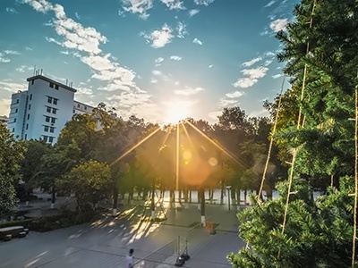 学校环境