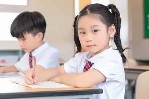 北京市朝阳区新亚学校小学部招生简章【国内班】