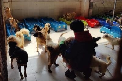 探访小动物保护组织.jpg