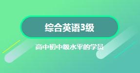 综合英语3级