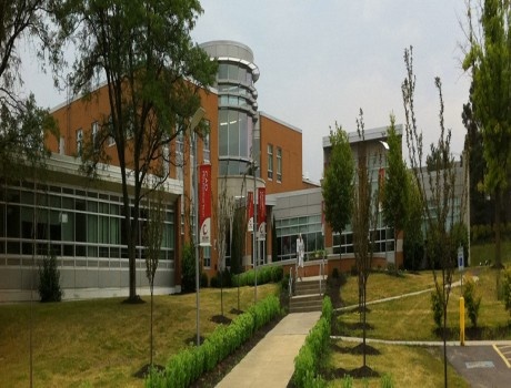 卡尤加社区学院