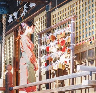 重庆日之枫