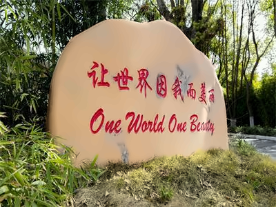 上海浦东新区民办籽奥高级中学A-Level课程