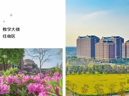 上海建桥国际高中教学楼&宿舍.jpg