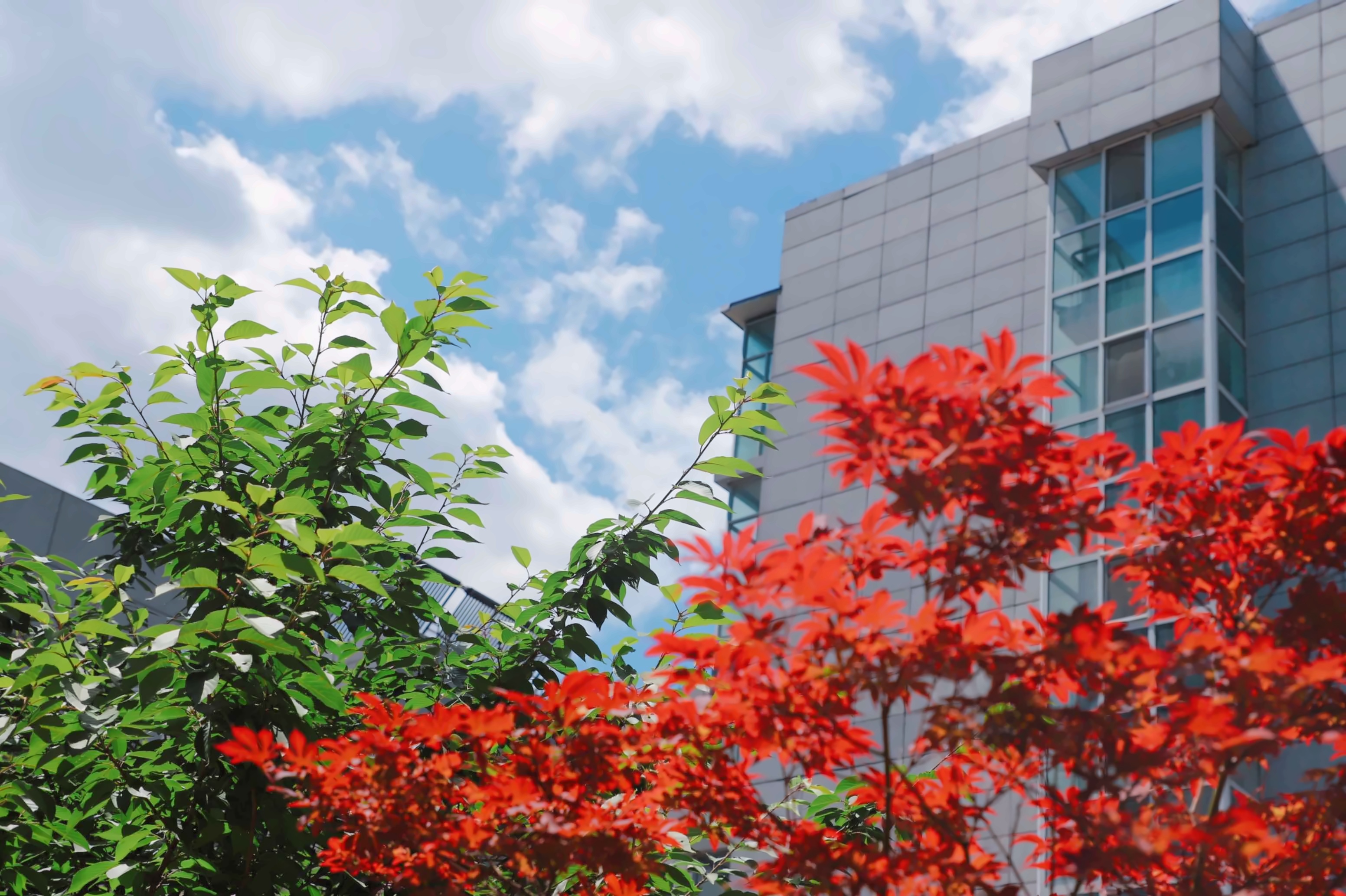 中国石油大学（北京）