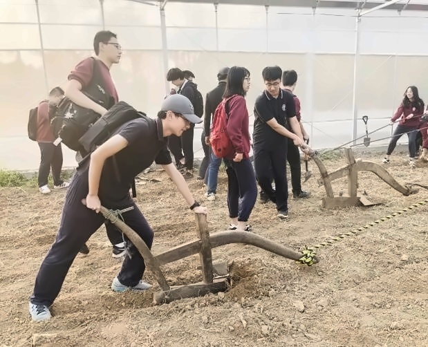 体验耕地.jpg