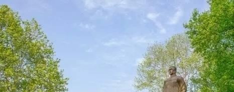 南京城市职业学院五年制大专2019年有哪些专业