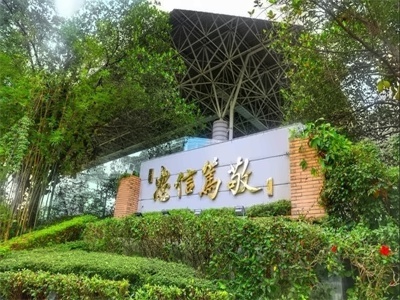 暨大深圳校区DSE项目香港高考冲刺考试班