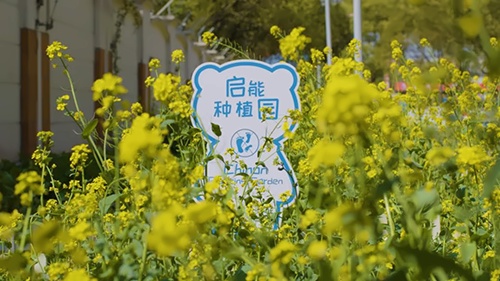 启能种植园