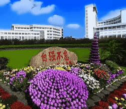 校园风光