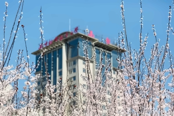南京航空航天大学