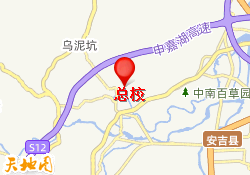 总校